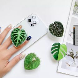 Phone Grip Plant  Pink Princess, Albo Monstera Etc
