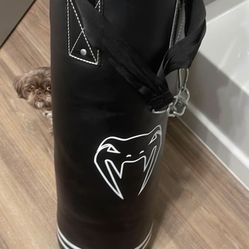 Punching Bag 