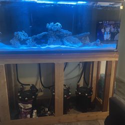 250 Gallon Salt Water Fish Tank 