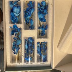 Blue Orchid Flowers And Vase 