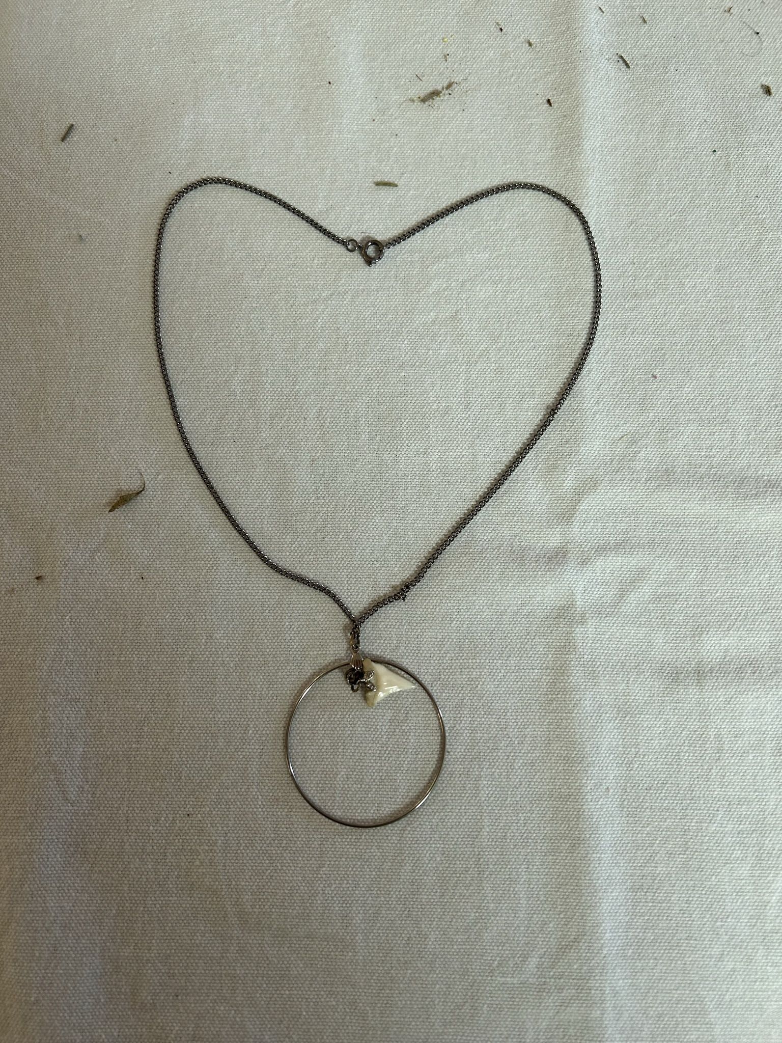 Silver Chain With Shark Tooth Necklace