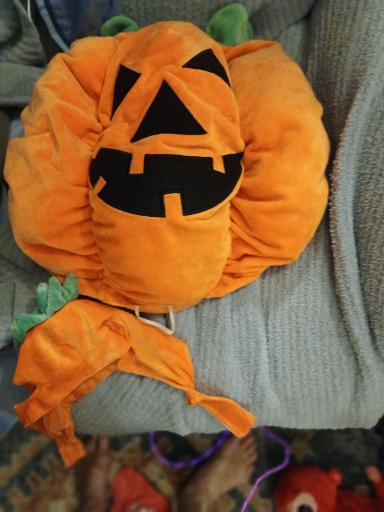 Costume For Dog