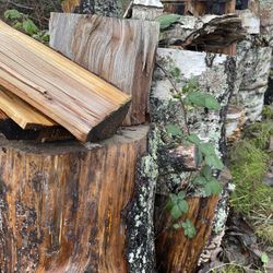 Two Year Old Birch Fire Wood-$250