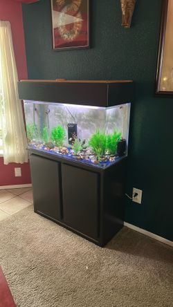 55 gal aquarium