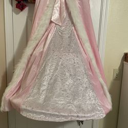 Girls Princess Costume Dress Size 7-8