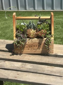 Father’s Day Succulent Gifts