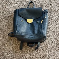 Steve Madden Backpack/purse 
