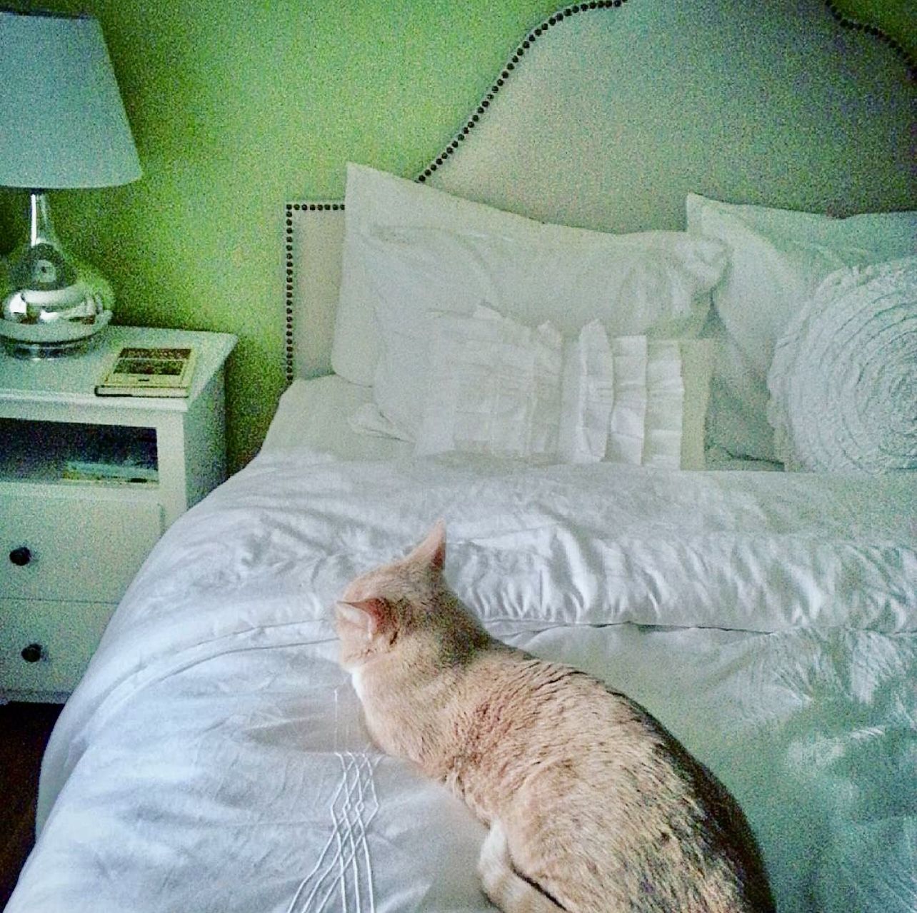 QUEEN BED + MATTRESS + BOXSPRING