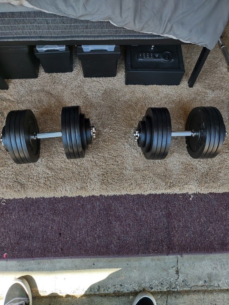 2 Dumbbells