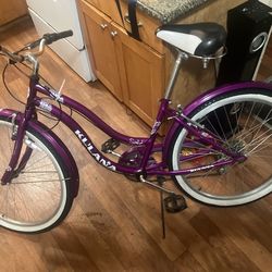 Hawaiian Bike