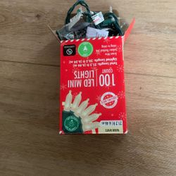 22.2ft Warm White Christmas Lights