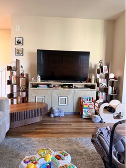 Entertainment system