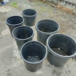 Very large pots, 10-15 gal , $ 10 ea.