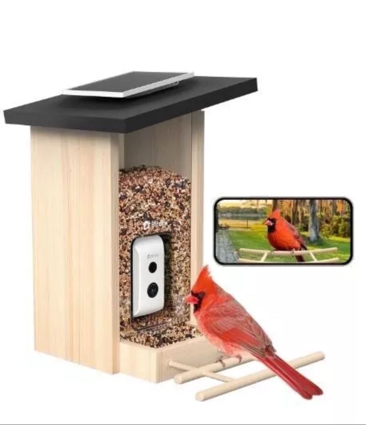 Birdfy Ebony Smart Bird Feeder with Camera Bird Watching Camera