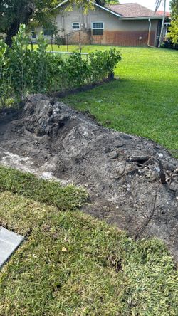 Free top soil- plantation