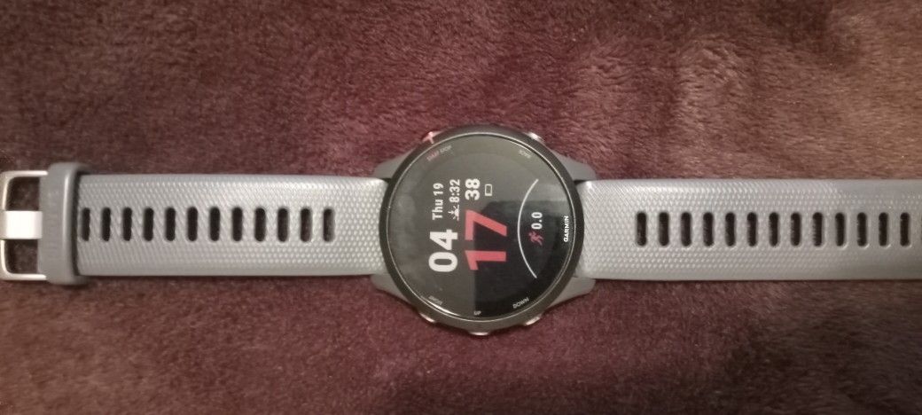 Garmin Forerunner 255
