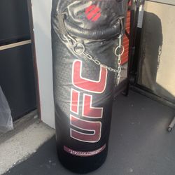 UFC Punching Bag 
