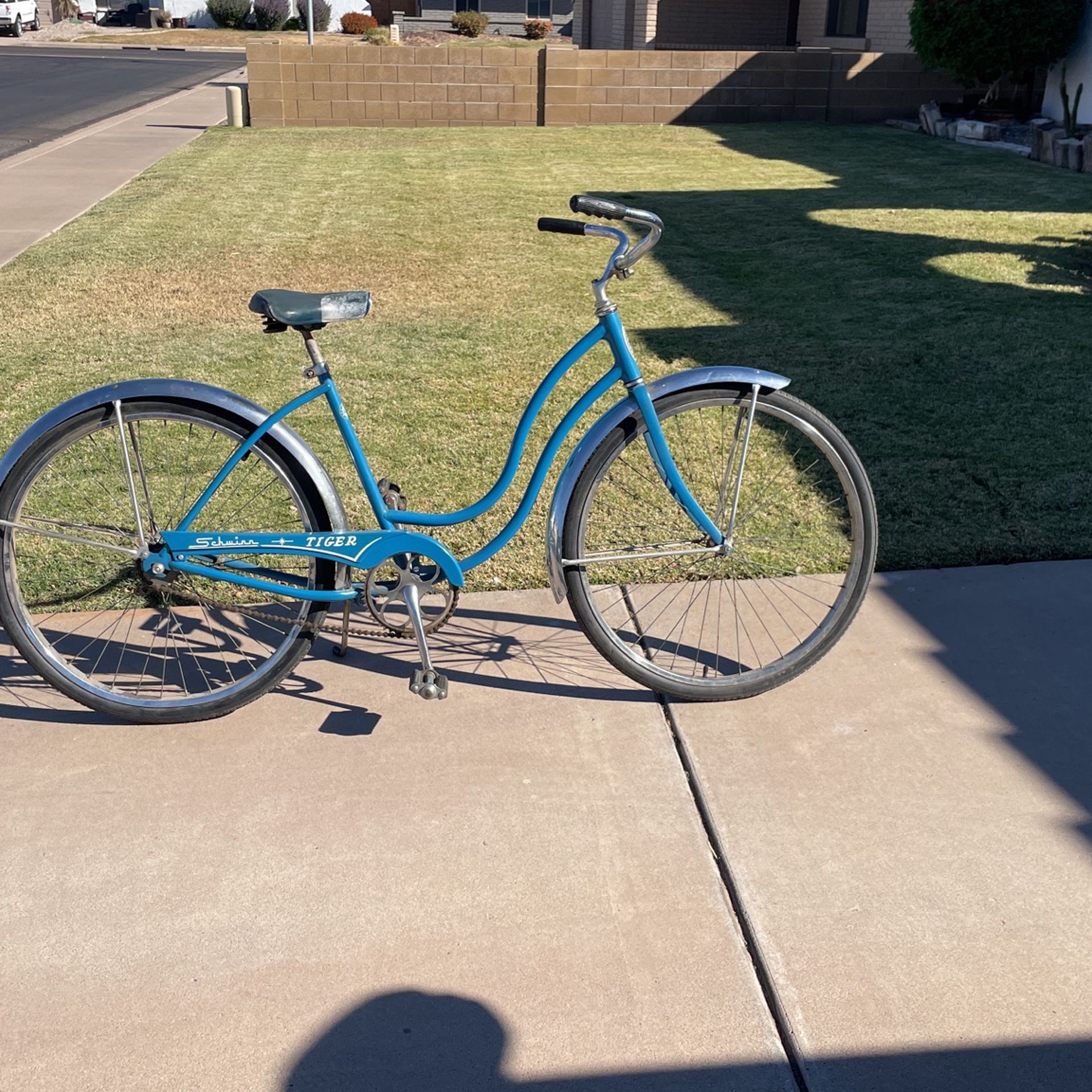 Schwinn Bike Vintage 1965