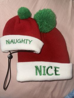 Matching Dog And Owner Christmas Hats