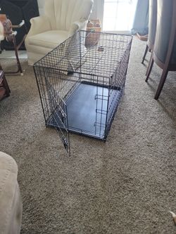 Used Large Dog Crate - Single Door