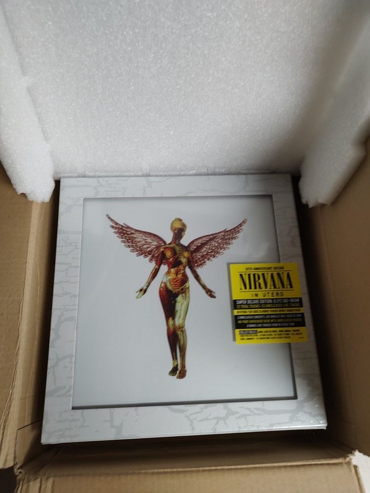 NIRVANA IN UTERO SUPER DELUXE
