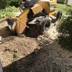 Stump Removal 