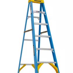 Werner 6 ft. Fiberglass Step Ladder with 250 lb load.