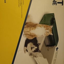 Cat Bed And Litter Pan 