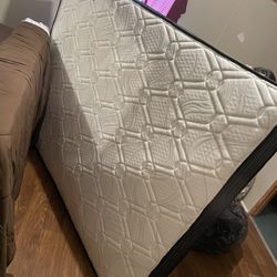 Mattress & Box Spring 