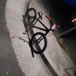 24 Inch So Cal Flyer 