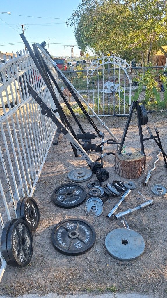 Bunch Of Weights And a Squatter Bar Set??