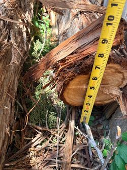 2 ea cedar post