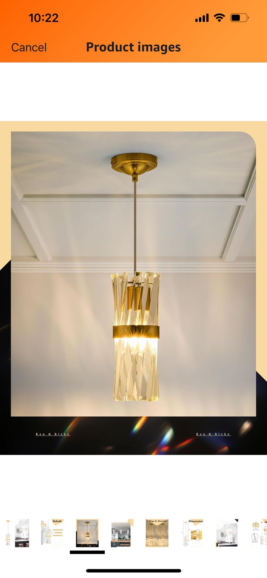 Ken & Ricky Crystal Pendant Lights