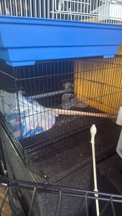 Small bird cage