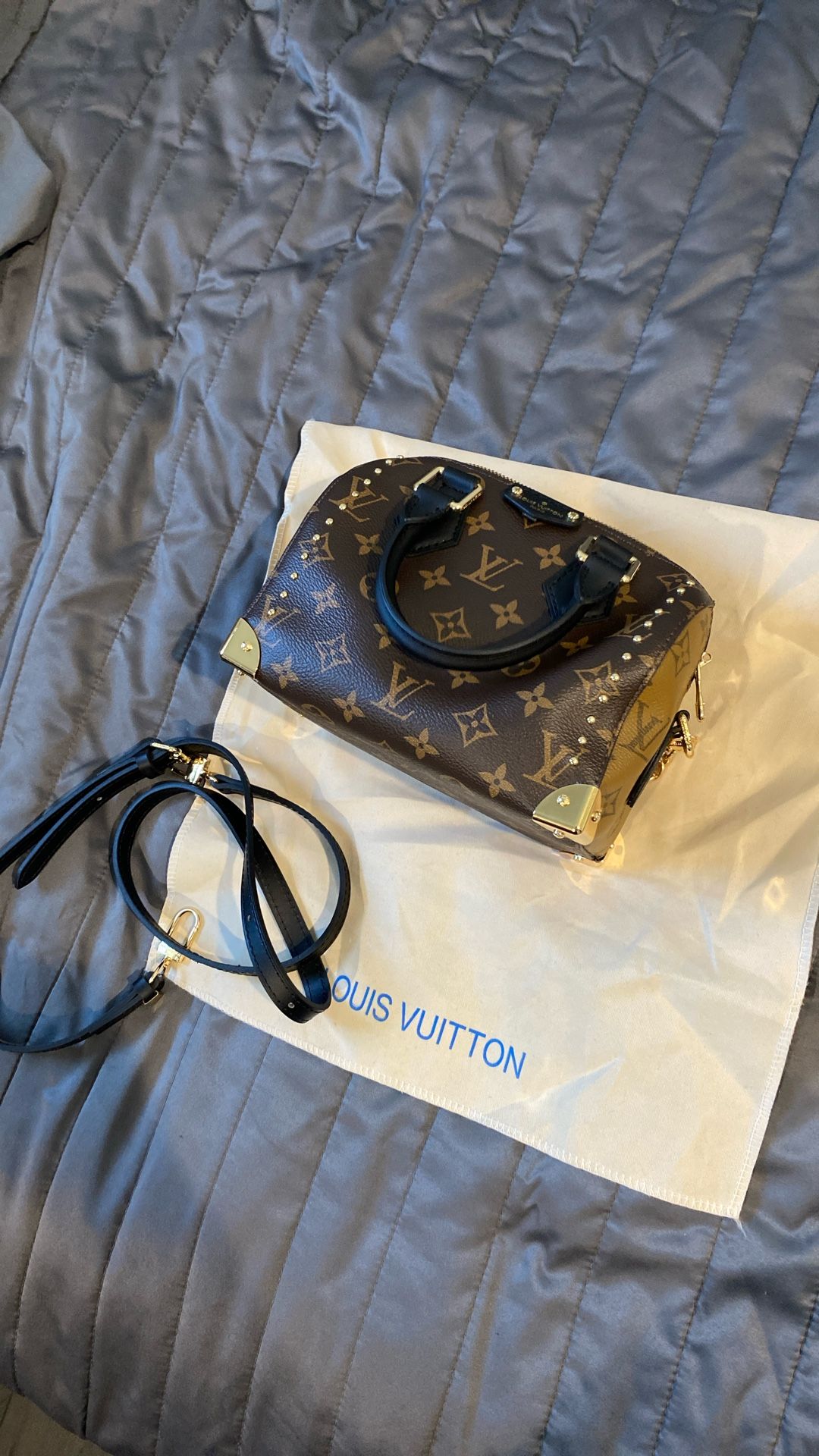 Louis Vuitton Speedy 20