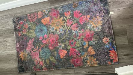 Soft Natural Life Rugs $25 each OBO