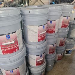 Indoor Gloss Brillante Paint 