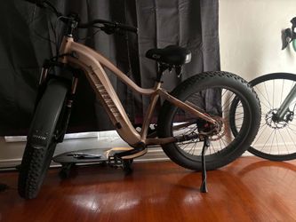 Aventón Adventurer 3 Step Thru Pedal Assiste
