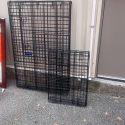 Kennels 