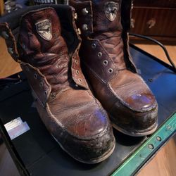 Irish Settler / Redwings