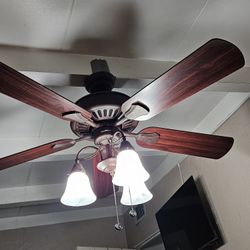 Ceiling Fan