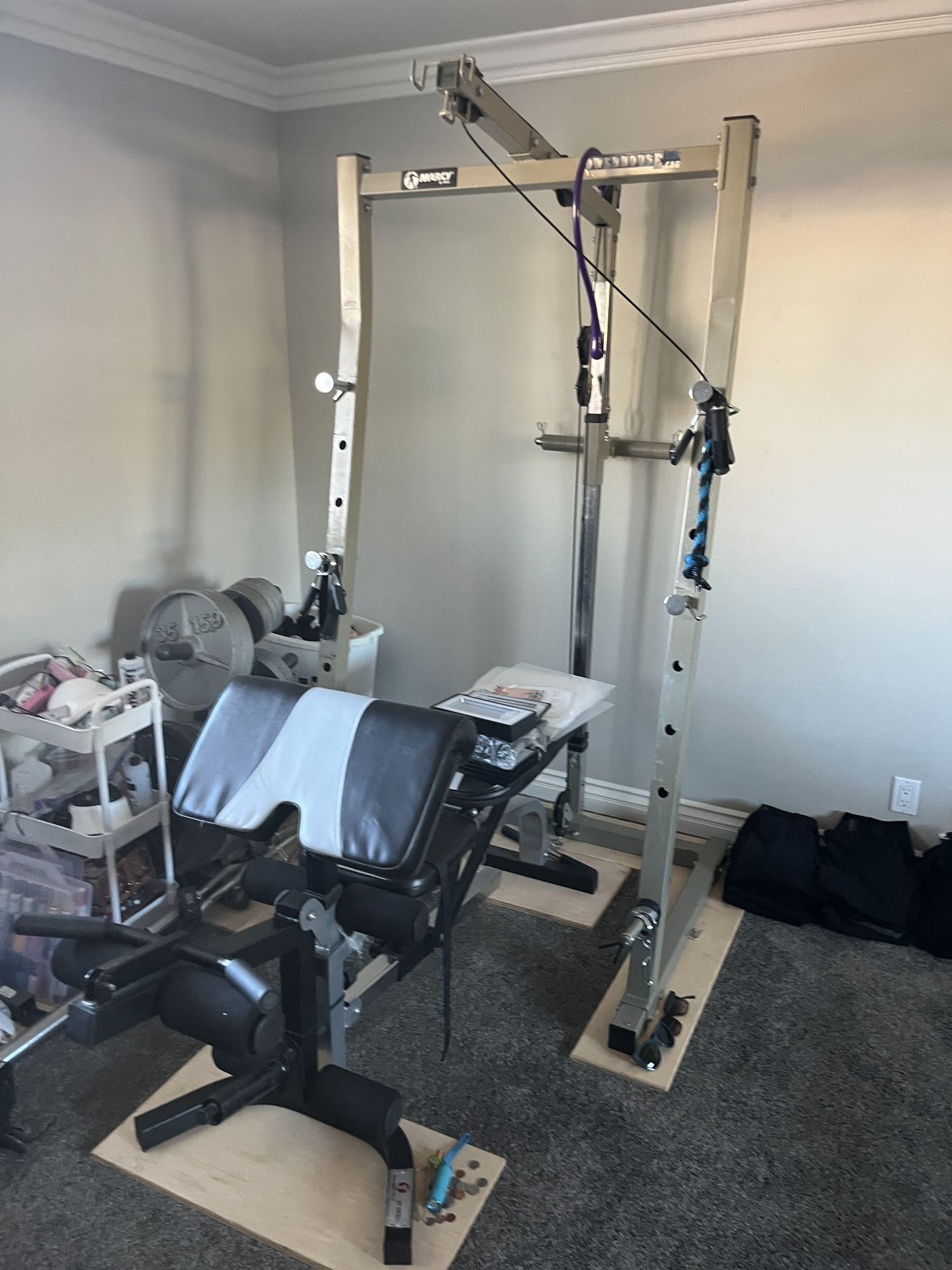 Squat Tower With Weights And Bench