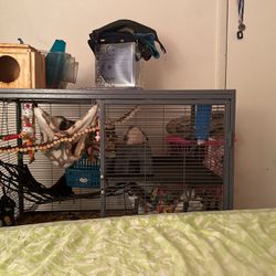 Critter Nation Cage 
