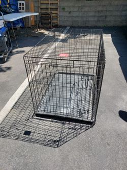 Large dog crate