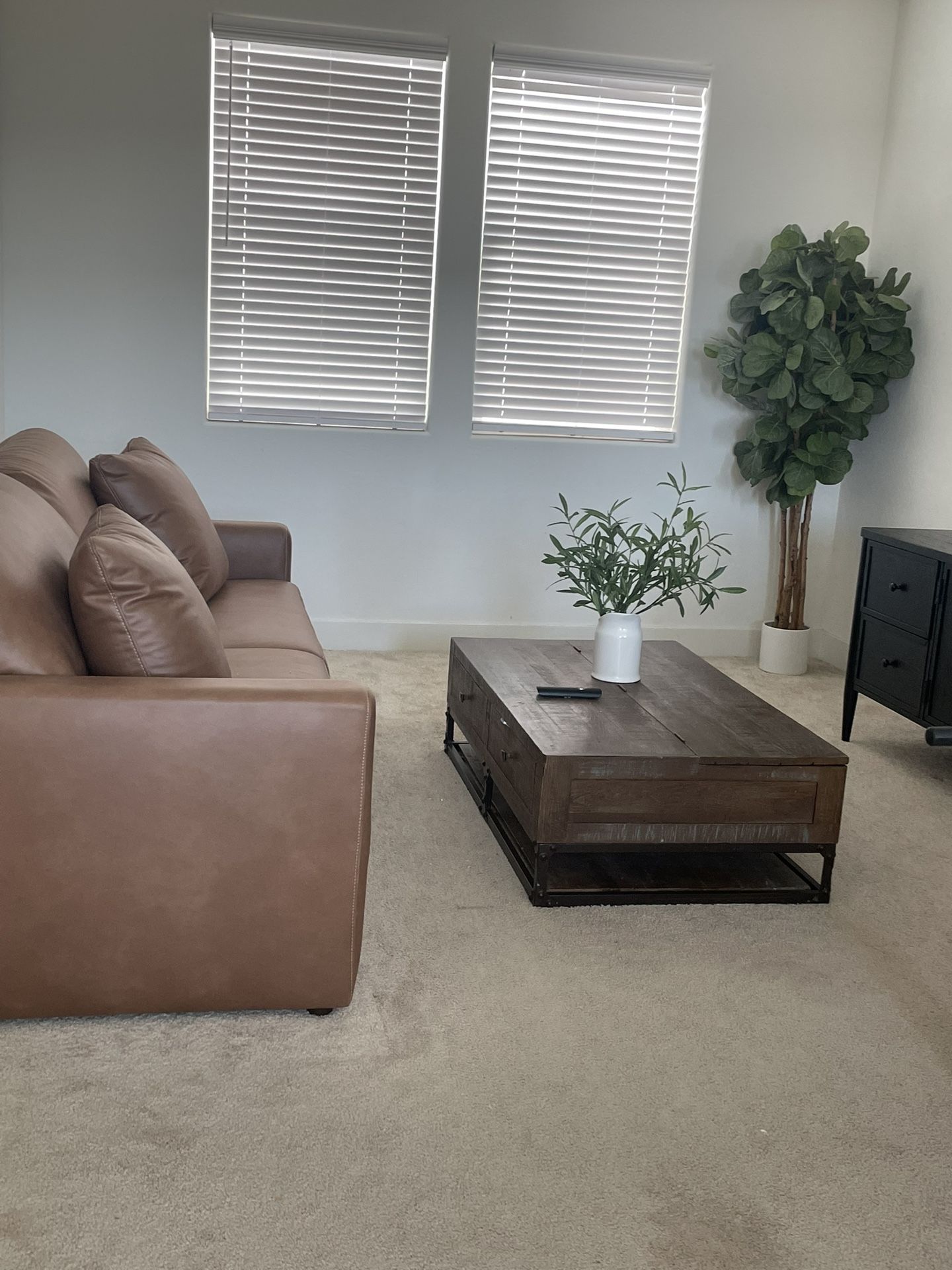 Rustic Modern Coffee Table