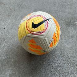 Nike And Adidas Soccer Balls
