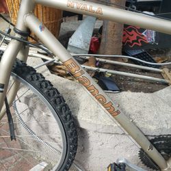 Bianchi Nyala Bike
