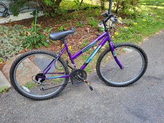 Roadmaster  Mt. Furry