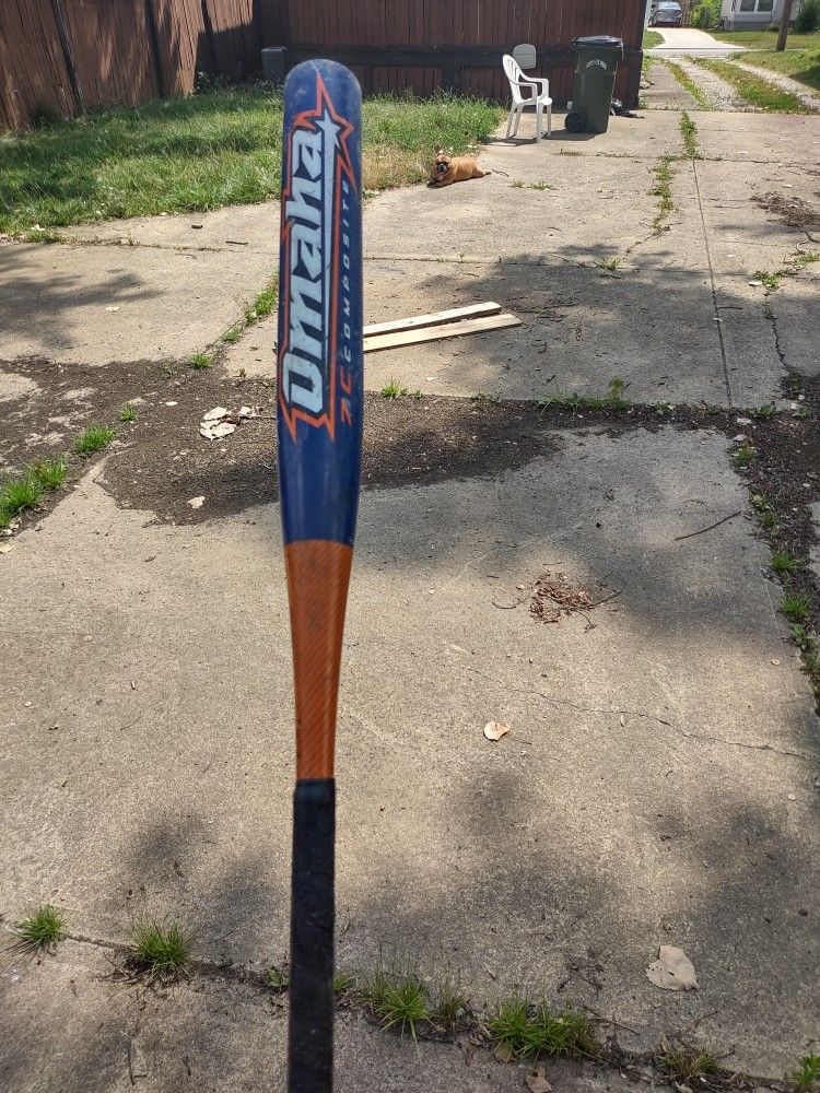 Baseball Bat