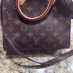 LV purse